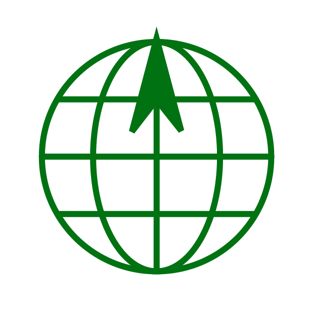 geographic north
